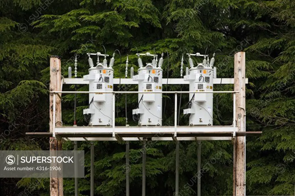 Power Transformers in Temperate Rainforest