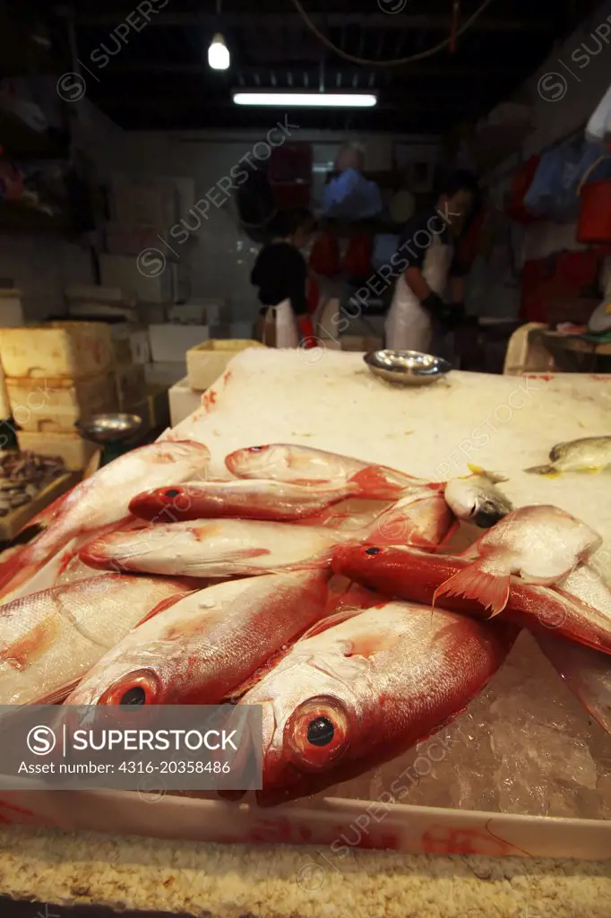 Fish at market, Hong Kong
