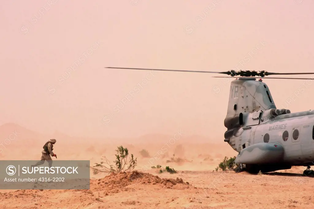 A US Marine Sprints Toward an Idling CH-46 Sea Knight Helicopter as its Pilots Prepare to Launch the Aircraft