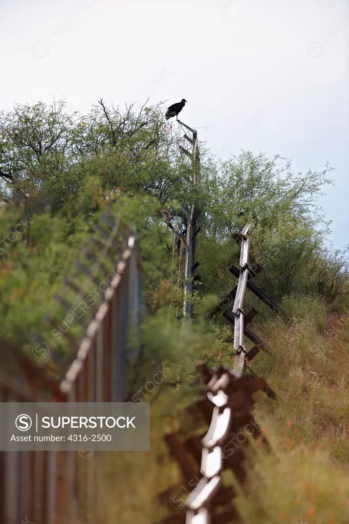 The United States - Mexico border, in the backcountry of southern Arizona, at a location called Lochiel, an old and now defunct border crossing accessible only by dirt road. A vulture sits atop a fence overlooking the border.