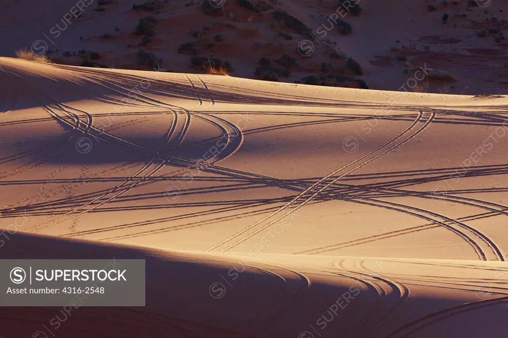 Low light near sunset accentuates detail of off-road vehicle tracks on the Coral Pink Sand Dunes, Coral Pink Sand Dunes State Park, Utah.