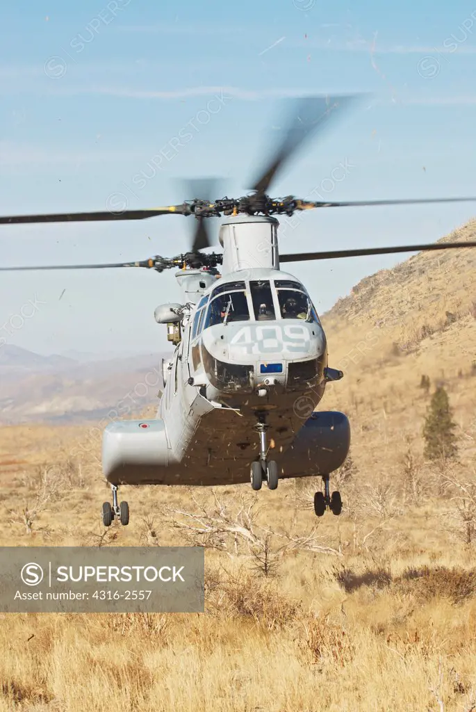 A U.S. Marine Corps CH-46 Sea Knight, known as a 'Phrog,' comes in to land at an unimproved helicopter landing zone in the high Sierra Nevada mountains of California, at the Mountain Warfare Training Center.