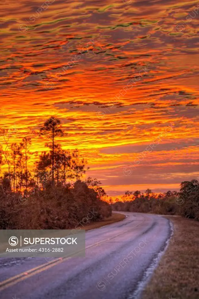 A stunning sunset over the main park road in Everglades National Park.