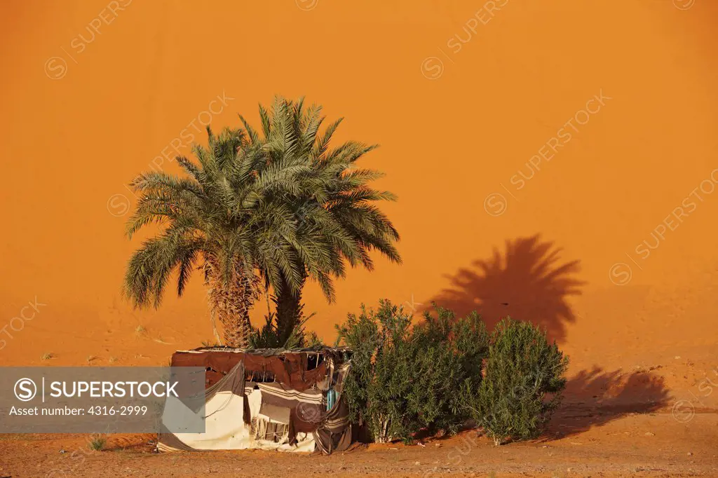 A Bedouin tent at the base of massive dune in Erg Chebbi, interior Sahara Desert, near Merzouga, Morocco.