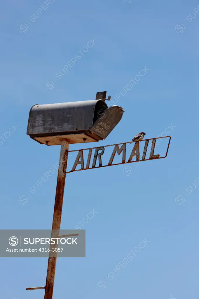 A small bird sits atop an air mail sign in Why, Arizona.