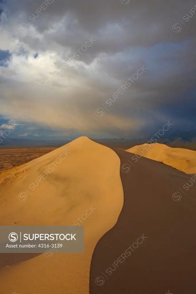 Sunset light reveals the elegant curves of the Kelso Dunes as a storm passes, near Amboy, Mojave National Preserve, California.