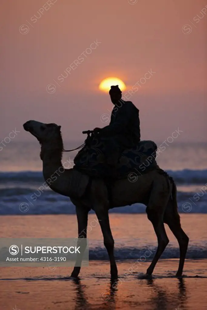 A camel and rider silhouetted by setting sun, along the seashore near Agadir, Morocco.