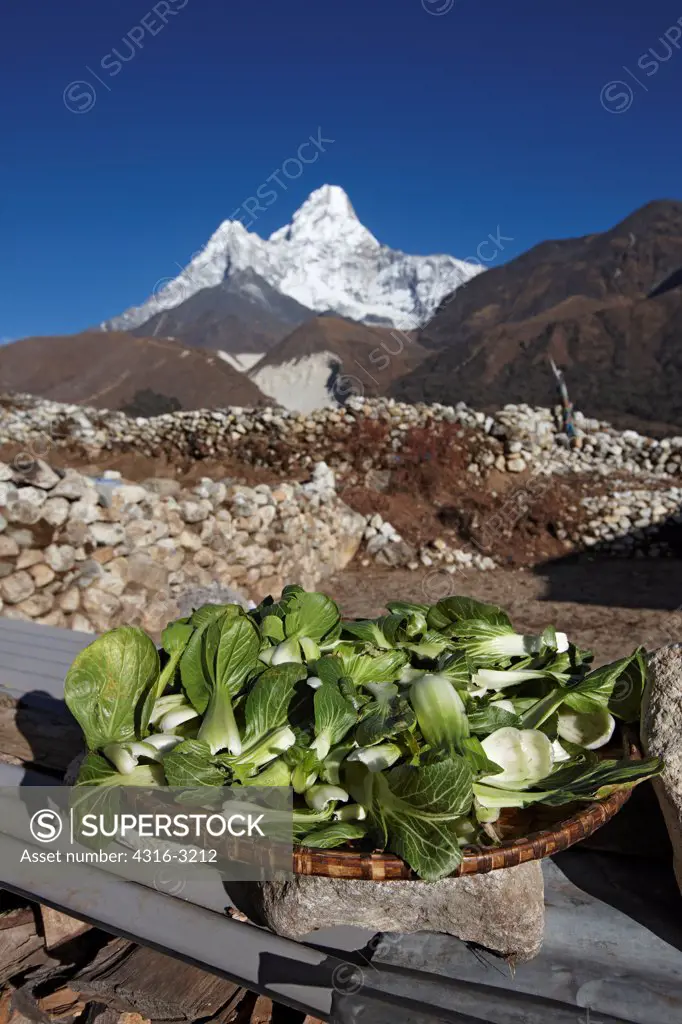 Leafy bok choi, or Chinese white cabbage, in a bowl below Ama Dablam, Mount Everest region of Nepal.