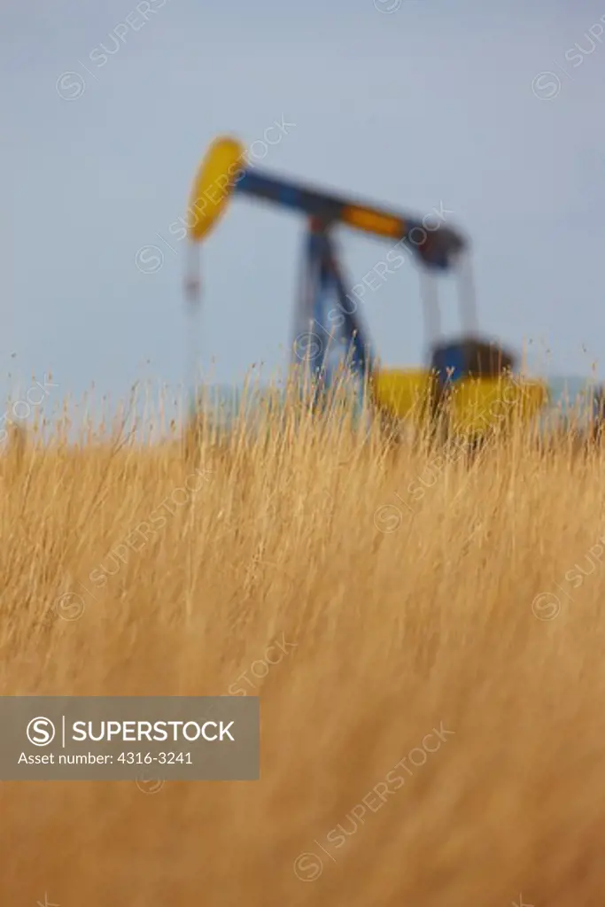 Grass on the grasslands surrounds a pumpjack of an oil well in Weld County, Eastern Colorado.