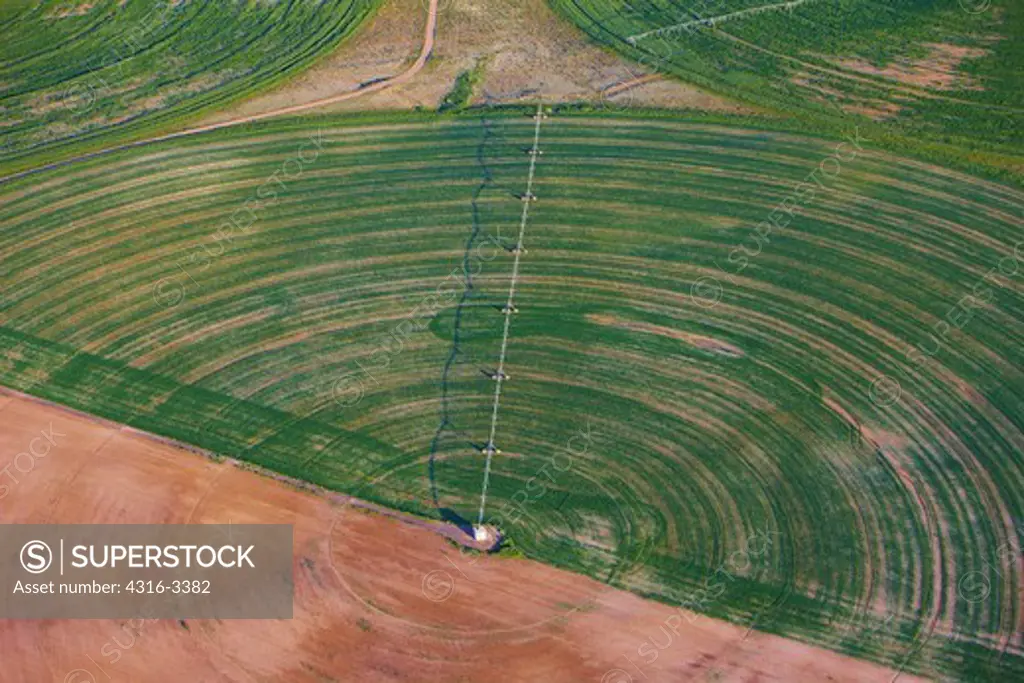 An aerial view of a center pivot irrigation system and an irrigated, planted, growing crop.