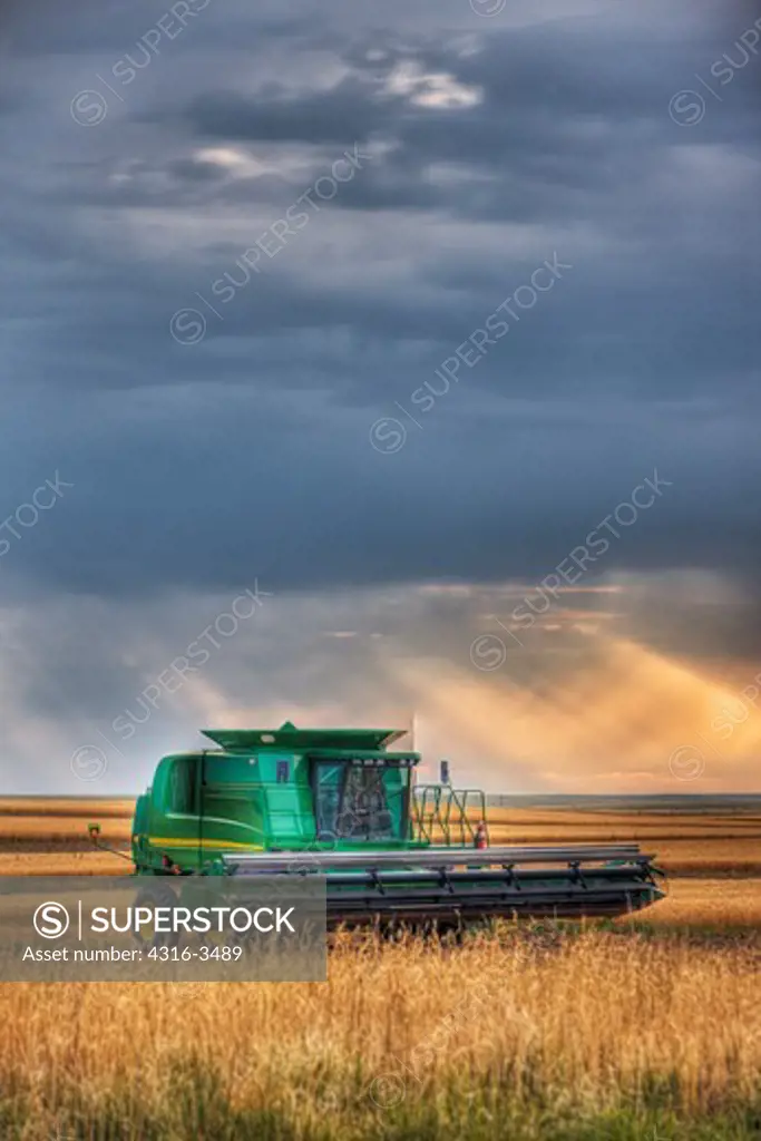 Combine harvester in wheat field, high dynamic range, or HDR image