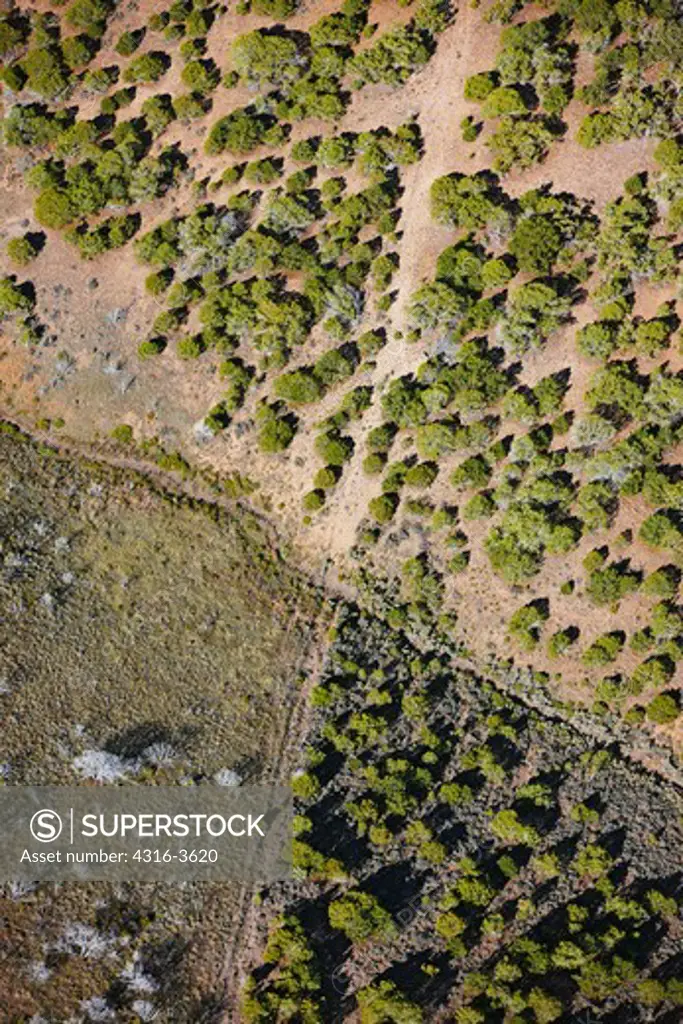 Aerial view of a fence line and small creek bed in the Rocky Mountains of Colorado.