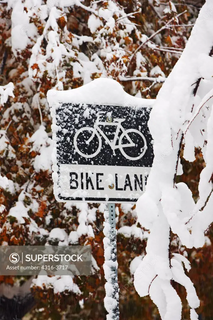 Bicycle Lane sign covered in snow during a blizzard.