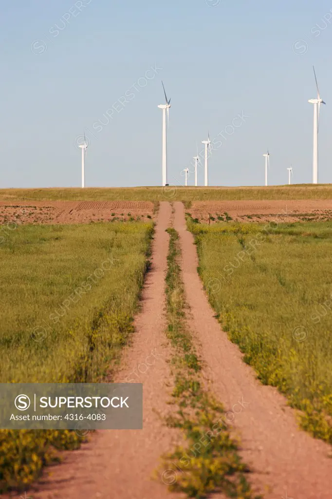 Road Leading to Wind Turbines