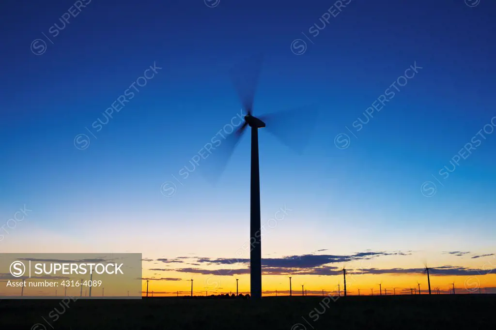 Silhouettes of Wind Turbines at Dusk