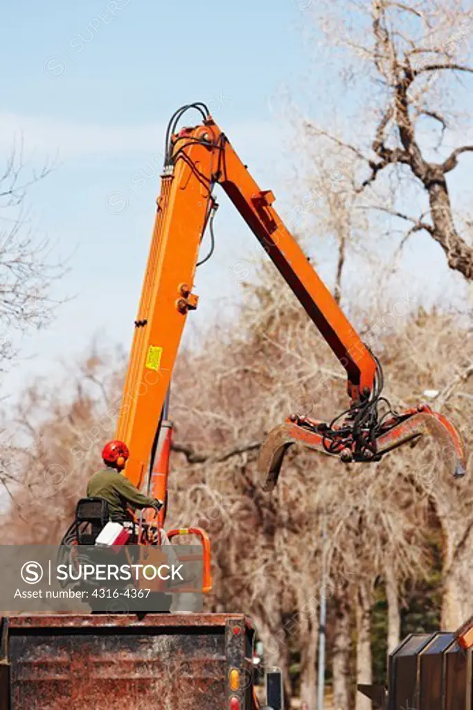 Loading Cut Limbs During Tree Trimming Operation