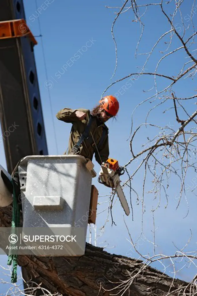 Tree Trimmer, or Arborist, Starting a Chain Saw
