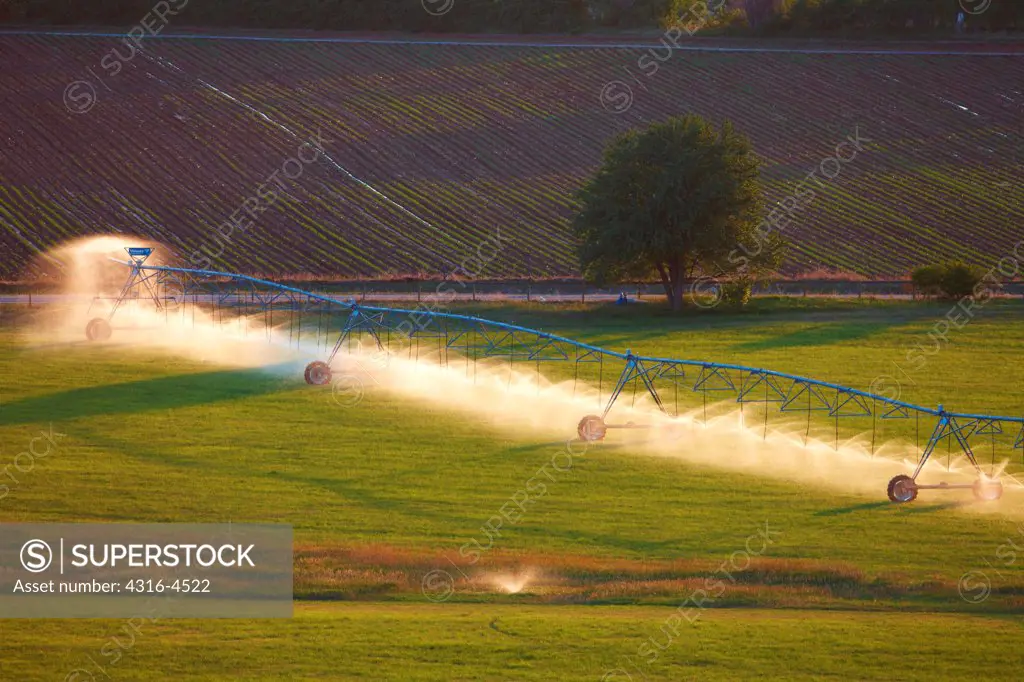 Center-pivot irrigation system in alfalfa field, Colorado, USA