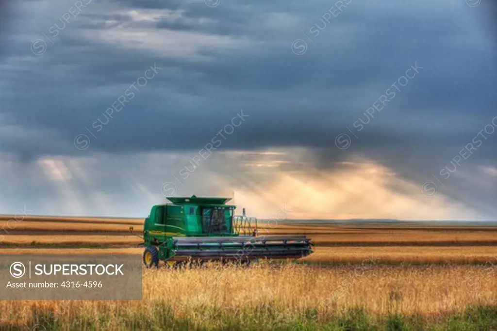 Combine in wheat field, Colorado