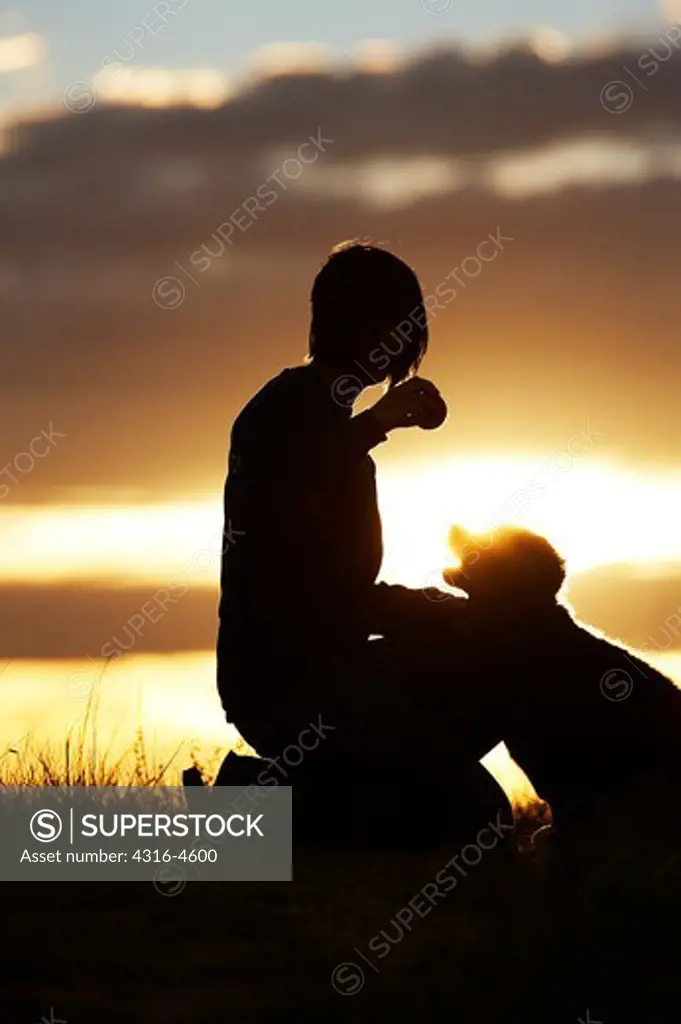 Woman and Bernese Mountain Dog puppy in prairie at sunset, silhouette