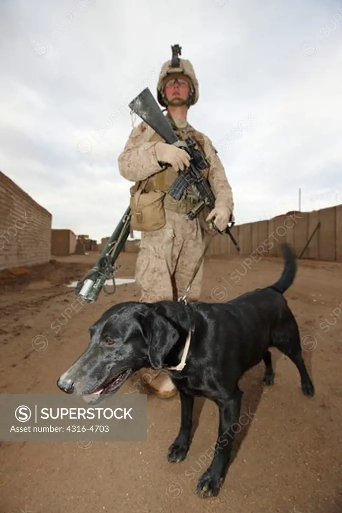 United States Marine and military working dog during a combat operation in Afghanistan's Helmand Province