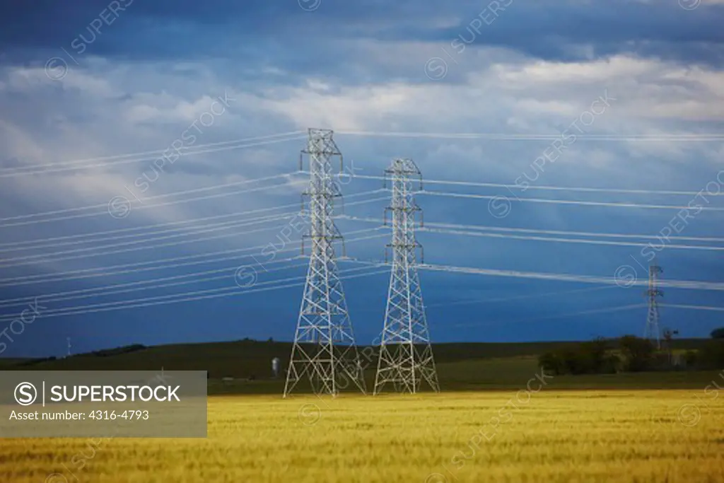 High voltage power lines and power line towers, California