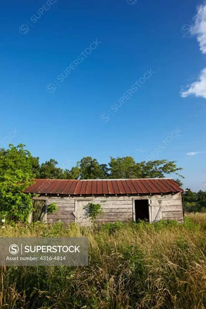 Abandoned, overgrown farm house, Arkansas
