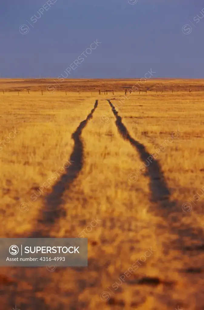 Vehicle tracks in prairie, Colorado