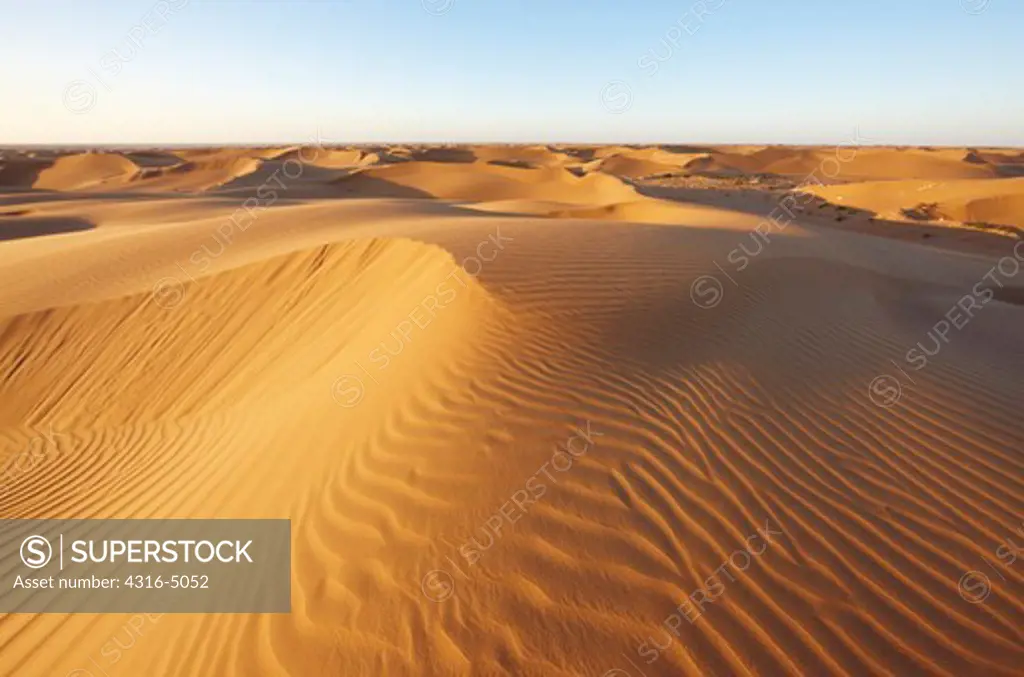 Sand dunes at sunset, near Laayoune (El Aaiun), Western Sahara, north Africa