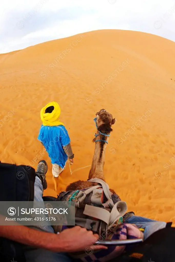 Camel rider's view of a Bedouin Nomad leading camel with rider deep into the interior of the Sahara Desert, Erg Chebbi, Morocco