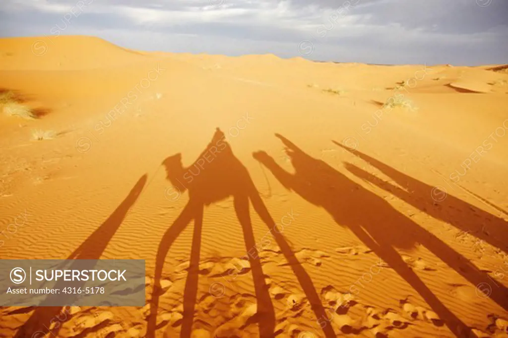 Shadows of camels with riders, Erg Chebbi, interior Sahara Desert, Morocco