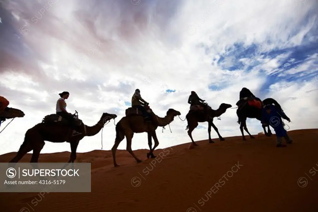 Silhouettes of camels with riders, Erg Chebbi, interior Sahara Desert, Morocco