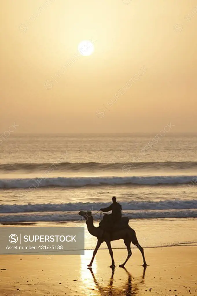 Silhouette of camel and rider on coast, near Agadir, Atlantic coast of Morocco