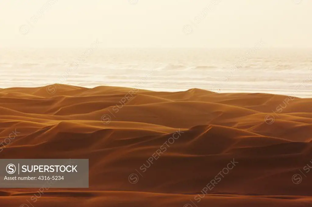 Sand dunes where the Sahara Desert meets the sea, southern Morocco, Atlantic Coast