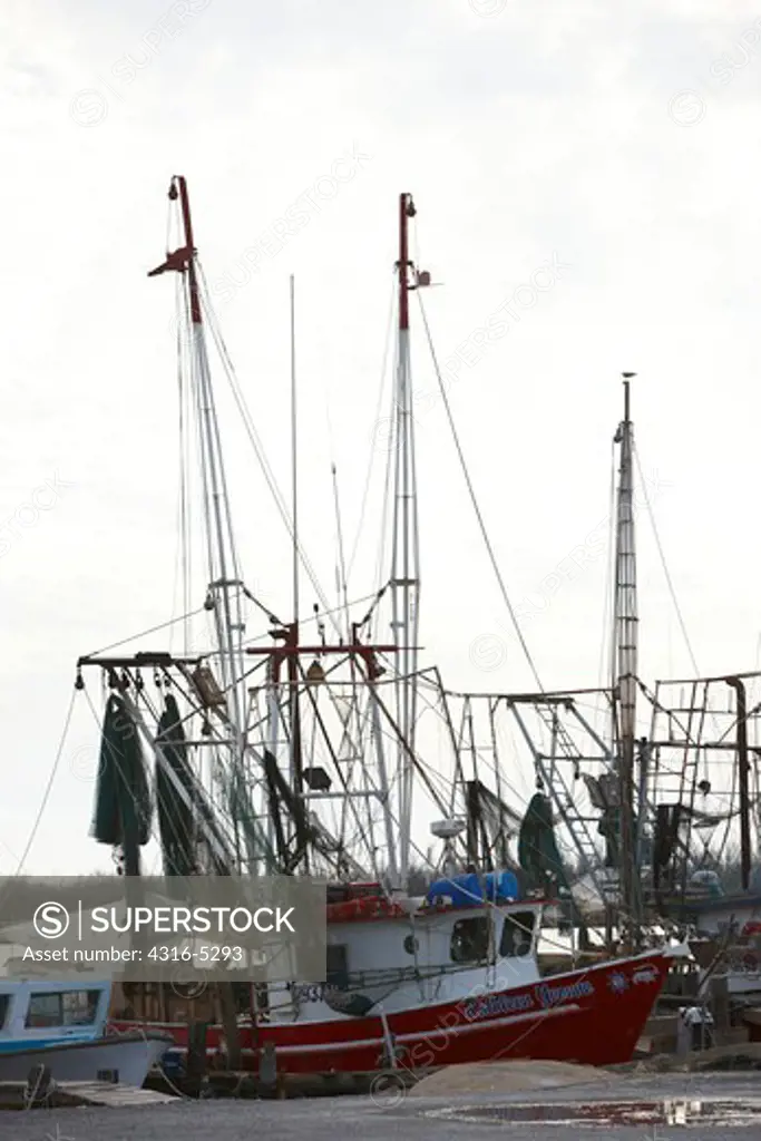 Commercial shrimp boats at dock, Cameron, Louisiana, USA