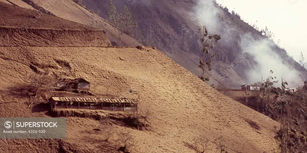 Humanity's Remnants Cling to a Hillside After Being Enveloped by Volcanic Ash