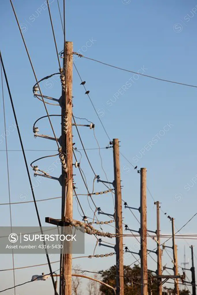 Power lines and power poles, Algiers Point, New Orleans, Louisiana, USA