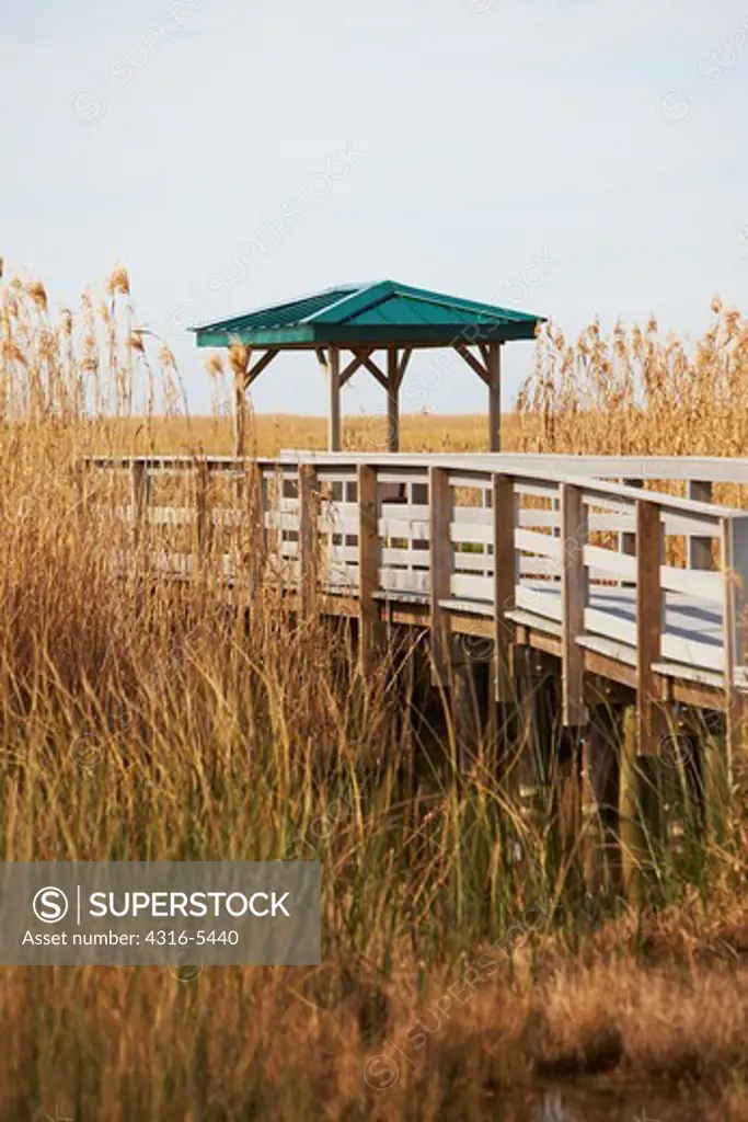 Nature walkway over marsh, Sabine National Wildlife Refuge, Cameron Parish, Louisiana, USA