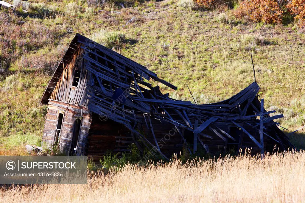 USA, Colorado, Remains of mountain cabin in San Juan Mountains, near town of Telluride