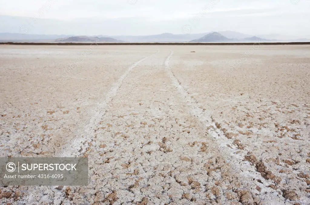 USA, California, Zzyzx, Soda Dry Lake, Car tracks on lake bed
