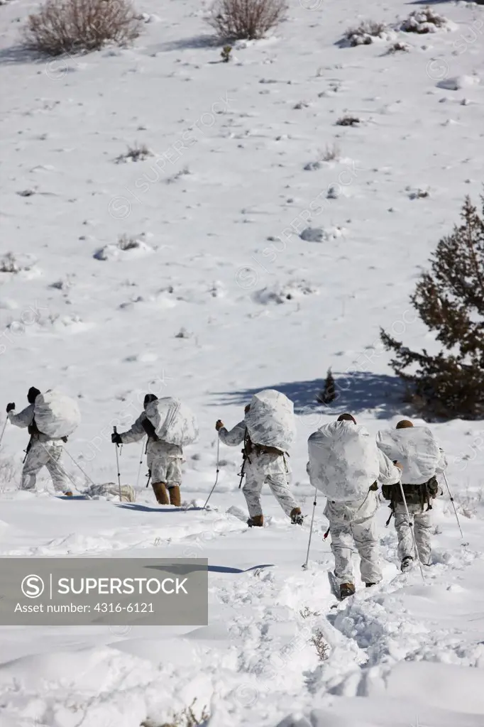 USA, California, Bridgeport, Mountain Warfare Training Center, United States Marines skiing up slope