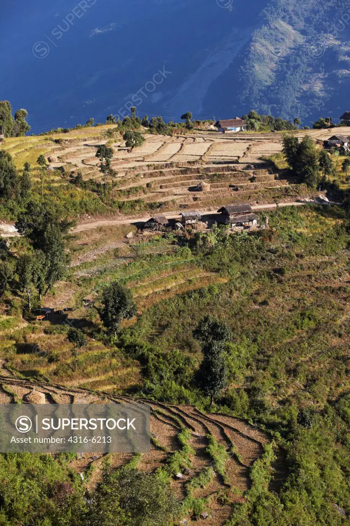 Nepal, Terraced hillside in small village