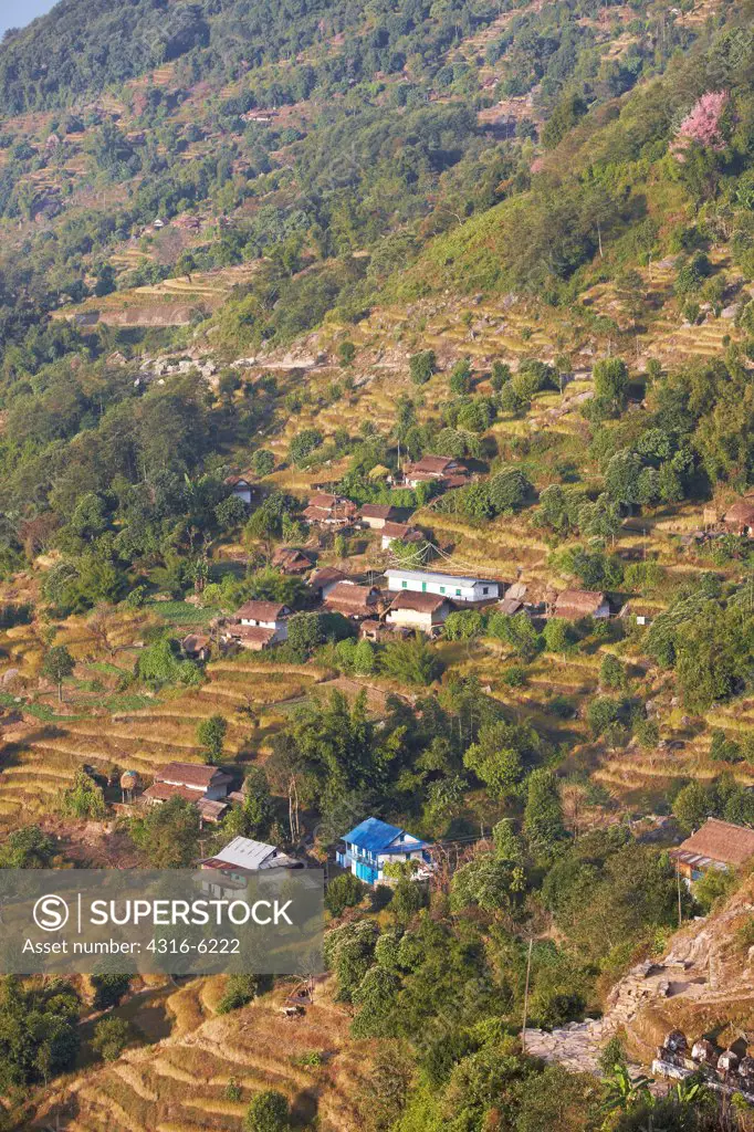 Nepal, Terraced hillside in small village