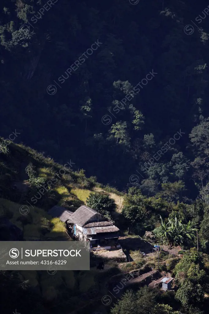 Nepal, Elevated view of terraced hillside in small village