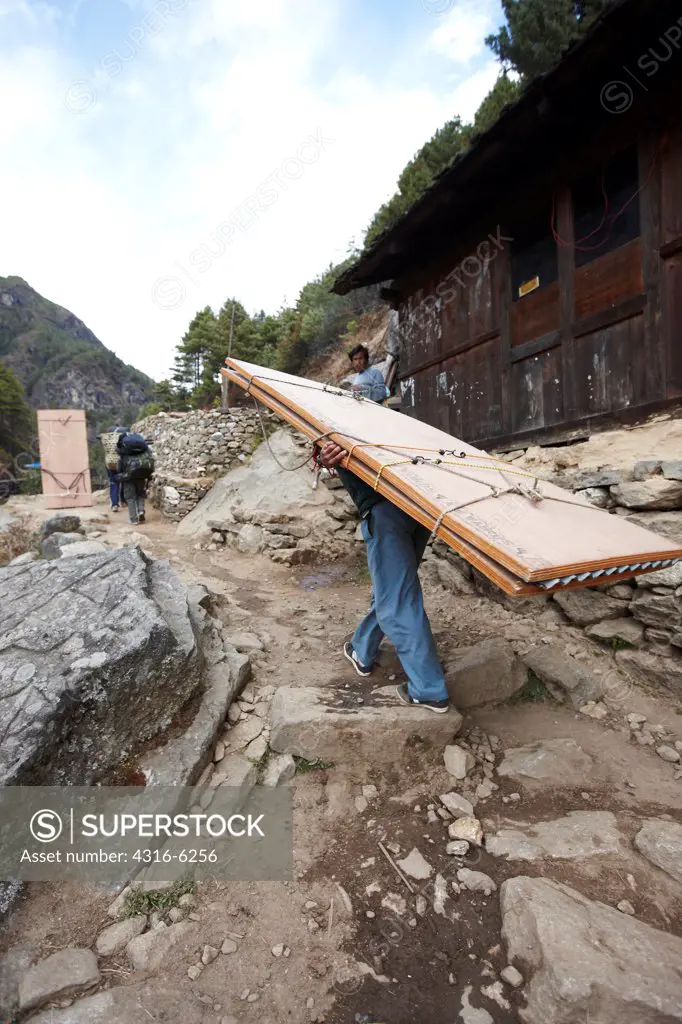 Nepal, Himalaya, Solukhumbu District, Khumbu, Nepalese Sherpa porter carrying load of plywood