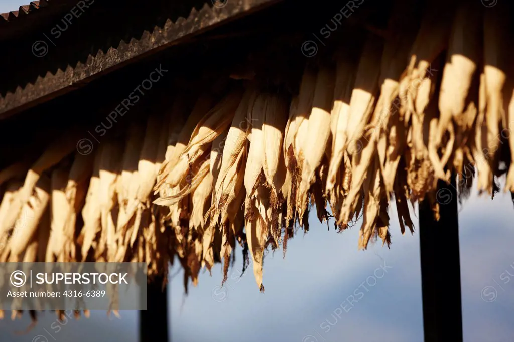 Nepal, Hil=malaya, Num Village, drying cobs of corn hanging from edge of roof