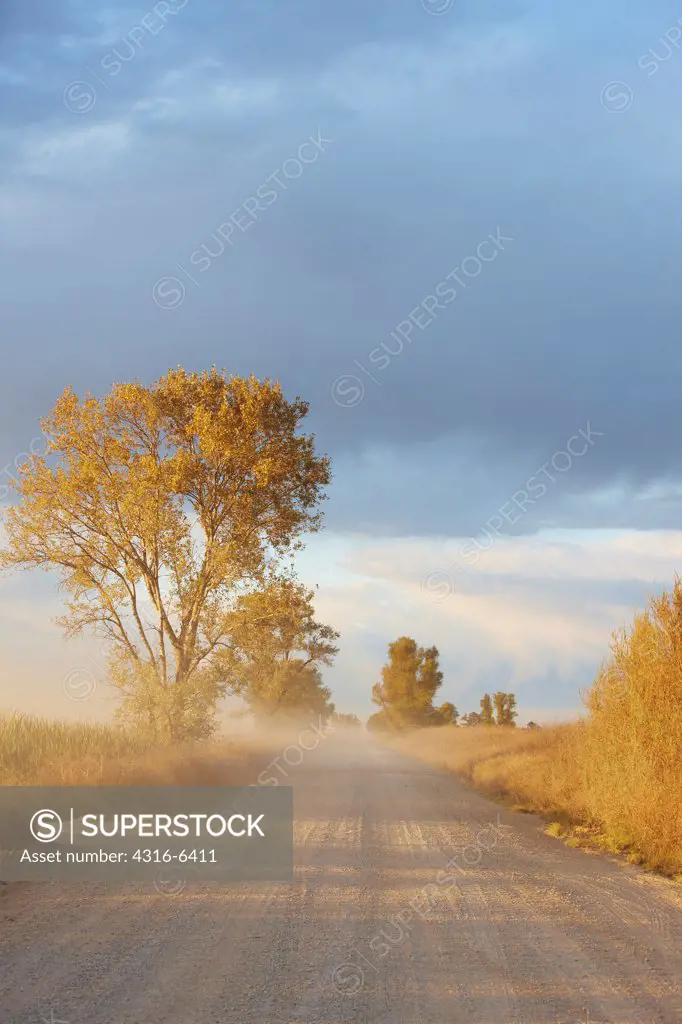 USA, California, Sacramento Valley, dusty dirt road in Sutter Wildlife Refuge