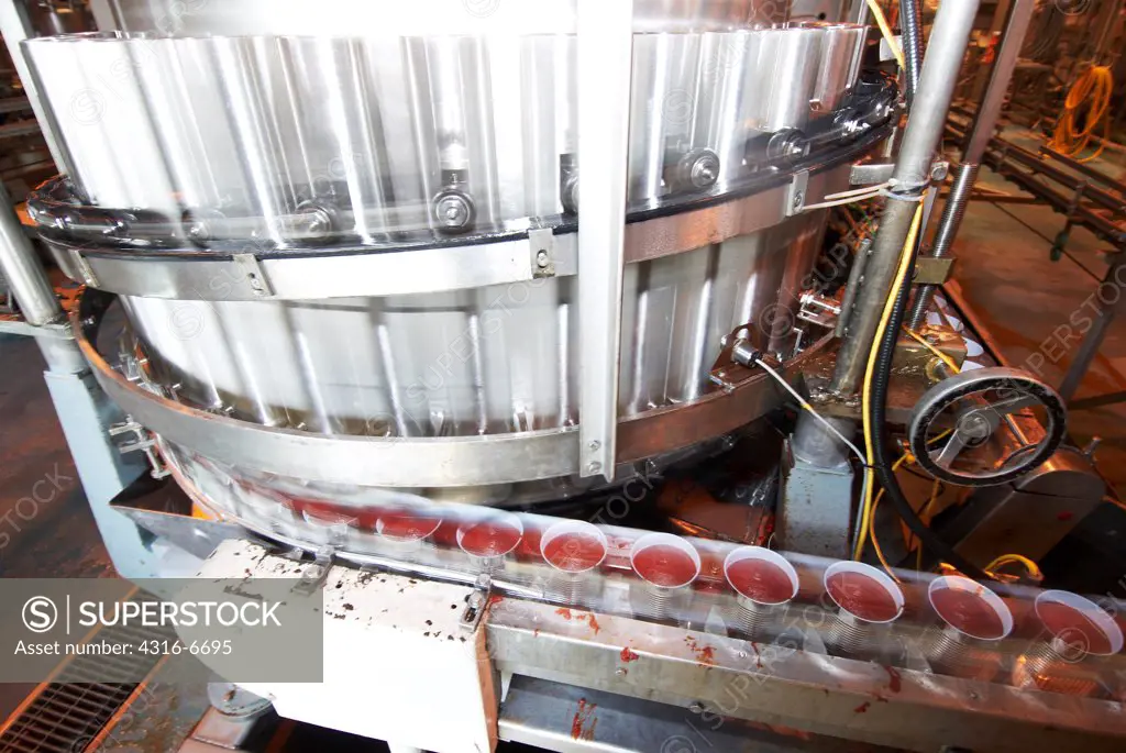 Cans being filled with tomato paste at a tomato processing plant, California, USA