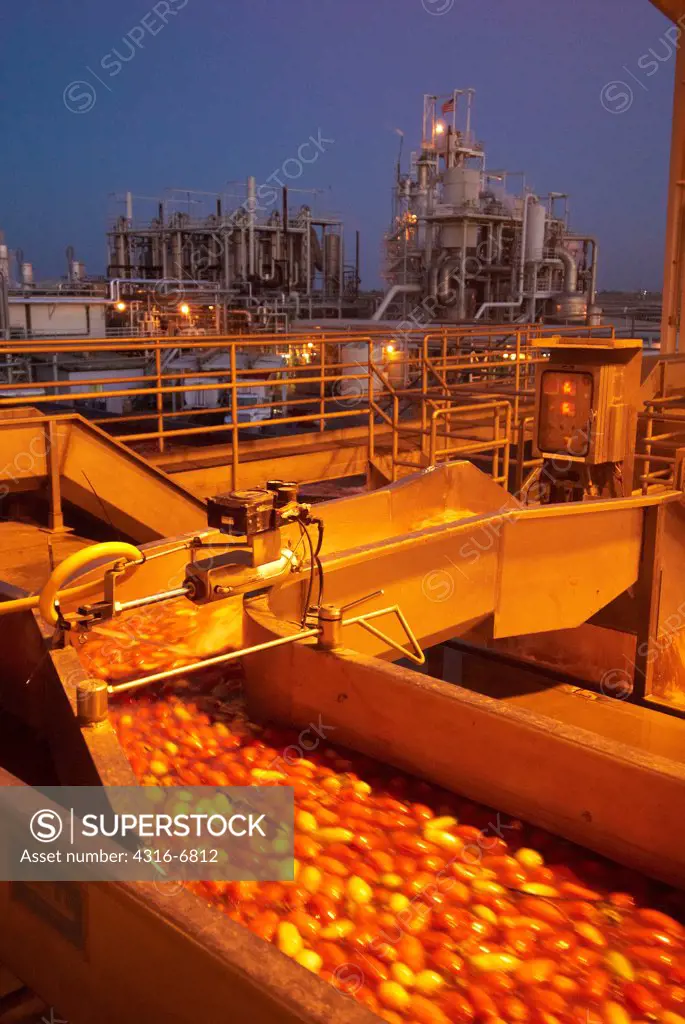 Large tomato processing factory at dusk, Central Valley, California, USA