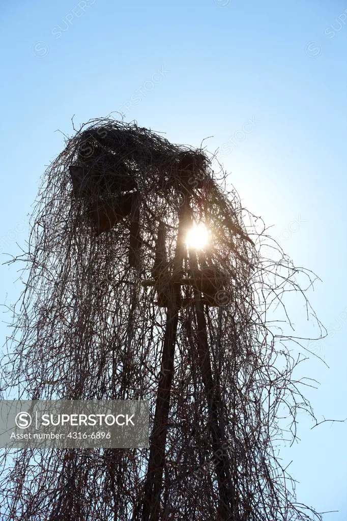 USA, Kansas, Water-pumping windmill, overgrown by ivy, silhouetted by sun